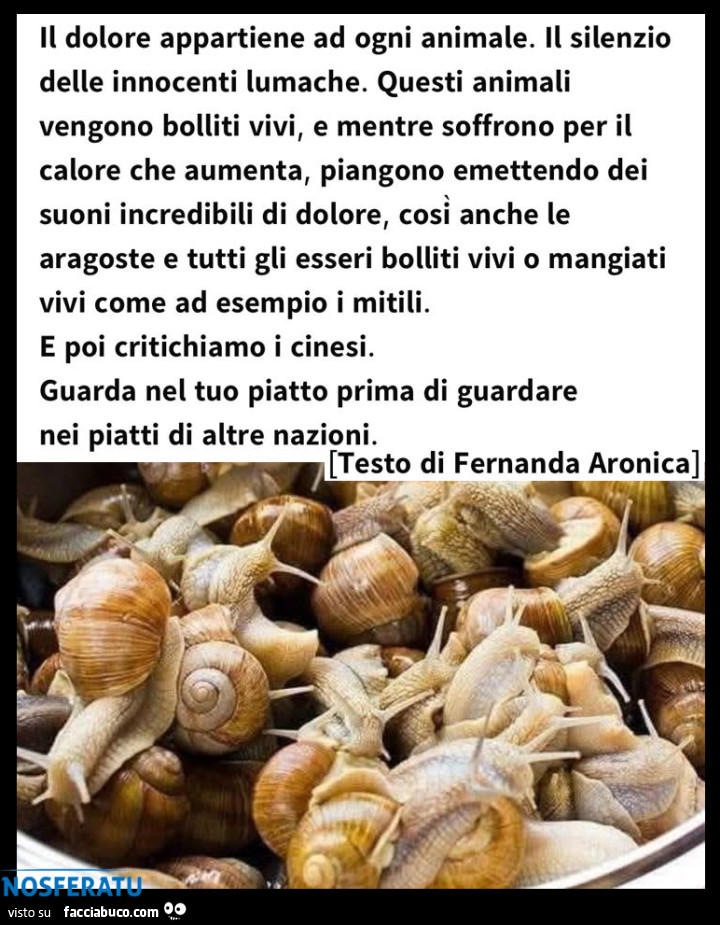 Guarda nel tuo piatto prima di guardare nel piatto degli altri