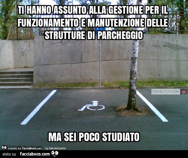 Ti hanno assunto alla gestione per il funzionamento e manutenzione delle strutture di parcheggio ma sei poco studiato