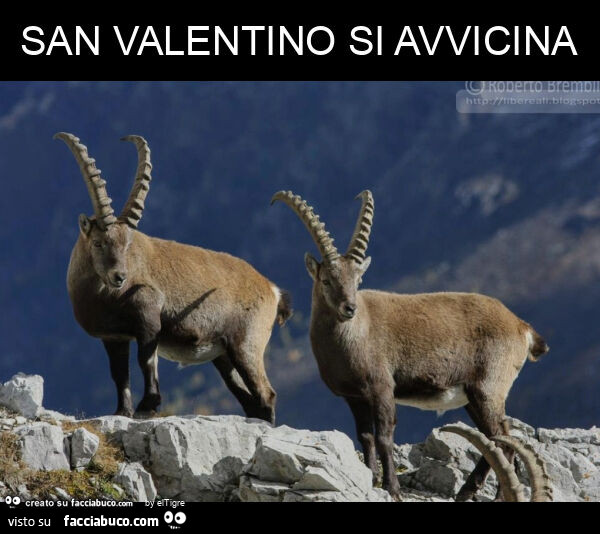 San valentino si avvicina