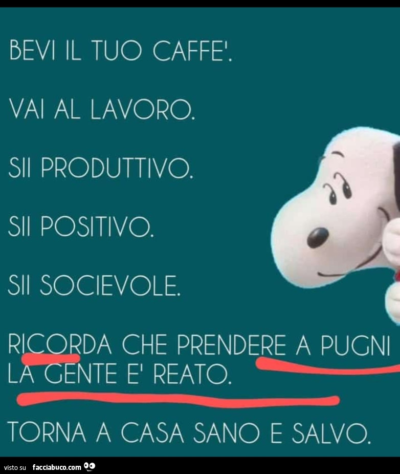 Vaccata