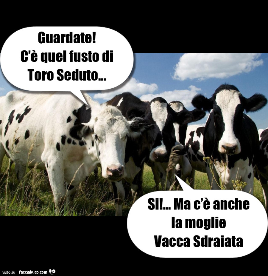 Vaccata