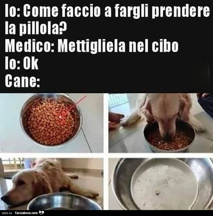 Vaccata