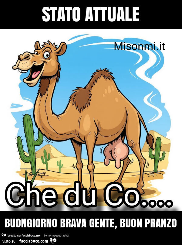 Stato attuale buongiorno brava gente, buon pranzo