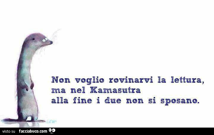 Non voglio rovinarvi la lettura, ma nel kamasutra alla fine i due non si sposano