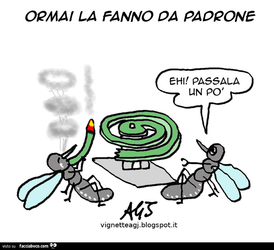 Vaccata