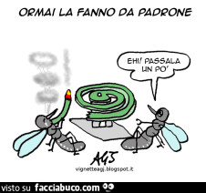 Vaccata