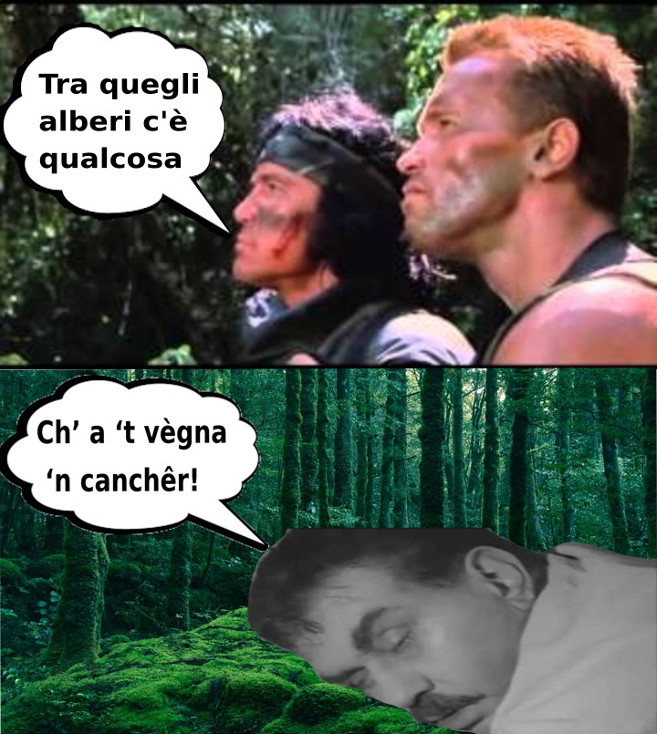 Vaccata