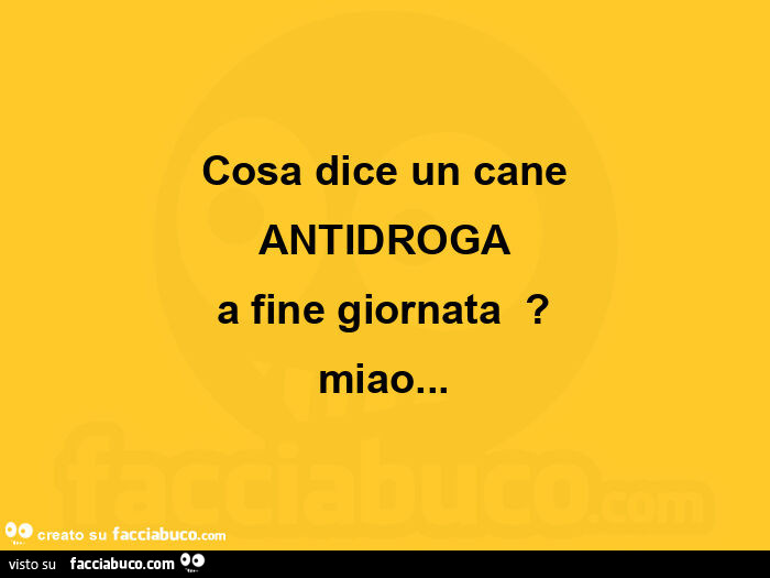 Cosa dice un cane antidroga a fine giornata? Miao