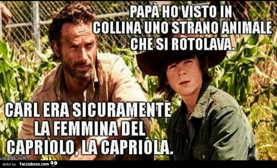 Visione
