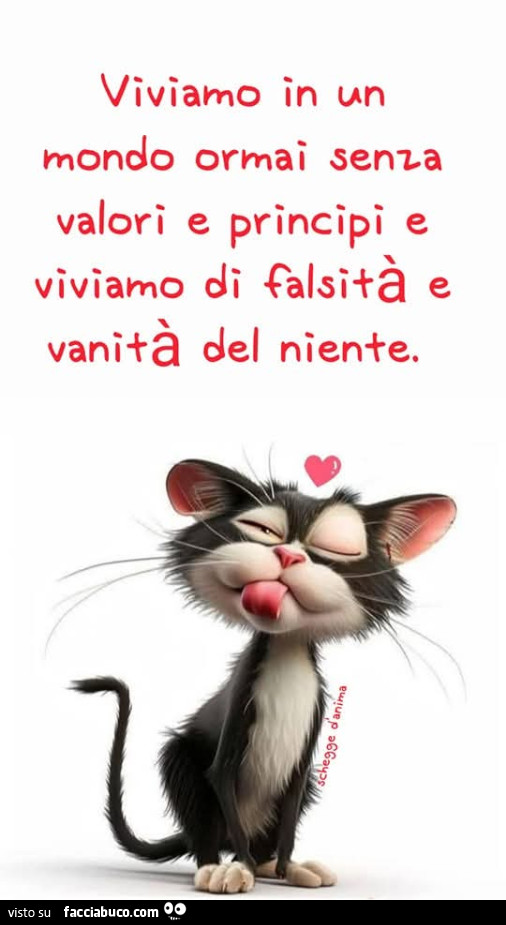 Viviamo in un mondo ormai senza valori e principi e viviamo di falsità e vanità del niente