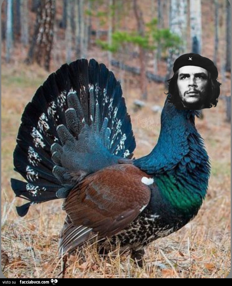 Che Guevara