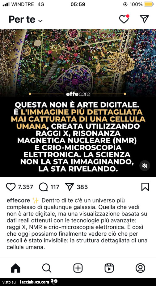 Vaccata