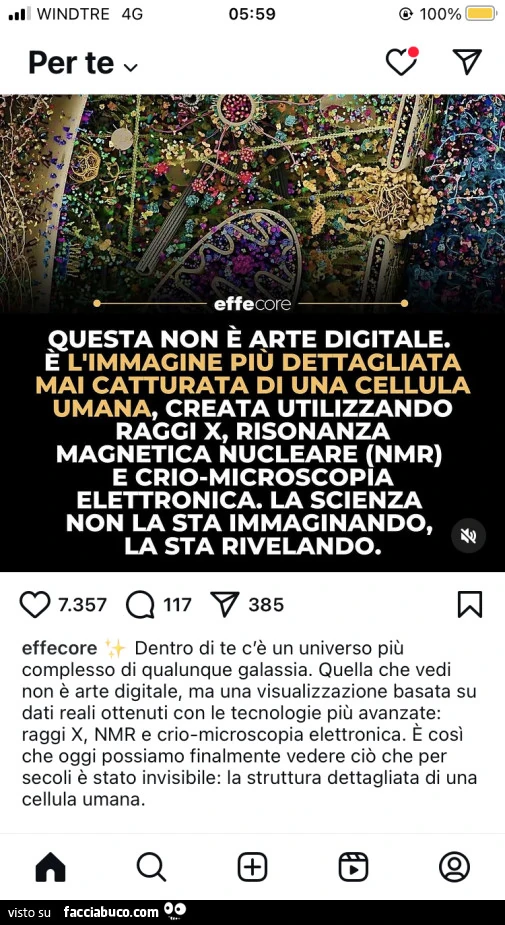 Vaccata