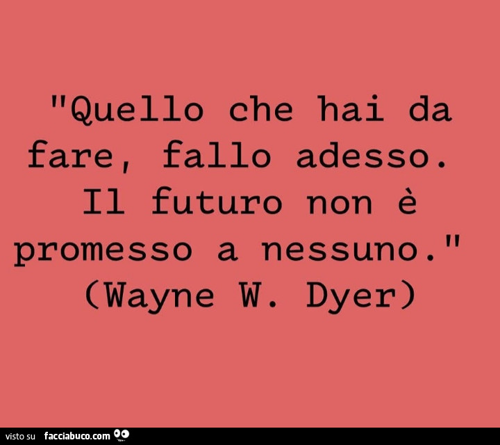Quello che hai da fare, fallo adesso. Il futuro non è promesso a nessuno. Wayne W. Dyer
