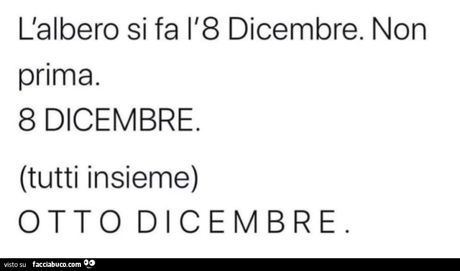 L'albero si fa l'8 dicembre. Non prima. 8 dicembre. Tutti insieme otto Dicembre