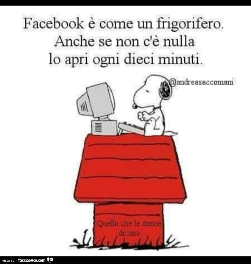 Facebook è come un frigorifero. Anche se non c'è nulla lo apri ogni dieci mmuti