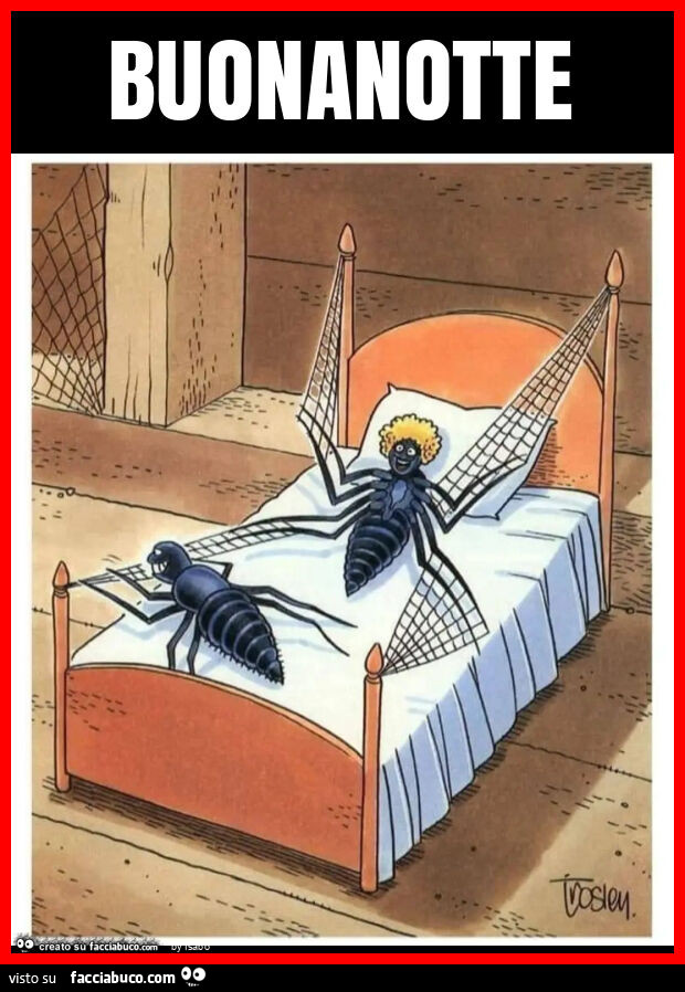 Buonanotte ragni ragnatele legare letto vignetta