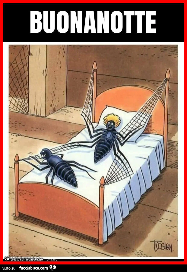 Buonanotte ragni ragnatele legare letto vignetta
