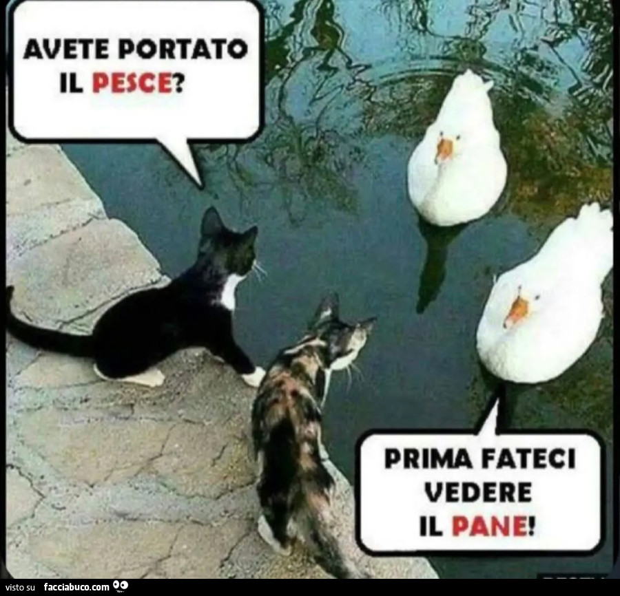 Patti chiari