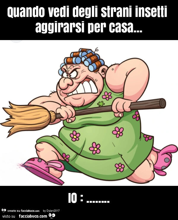 Quando vedi degli strani insetti aggirarsi per casa… io