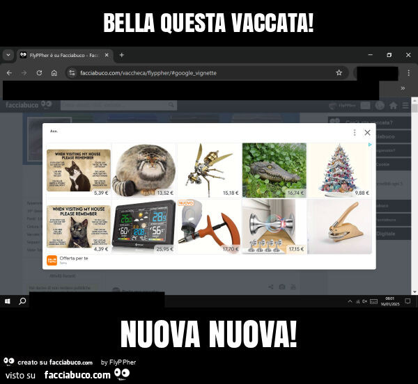 Bella questa vaccata! Nuova nuova