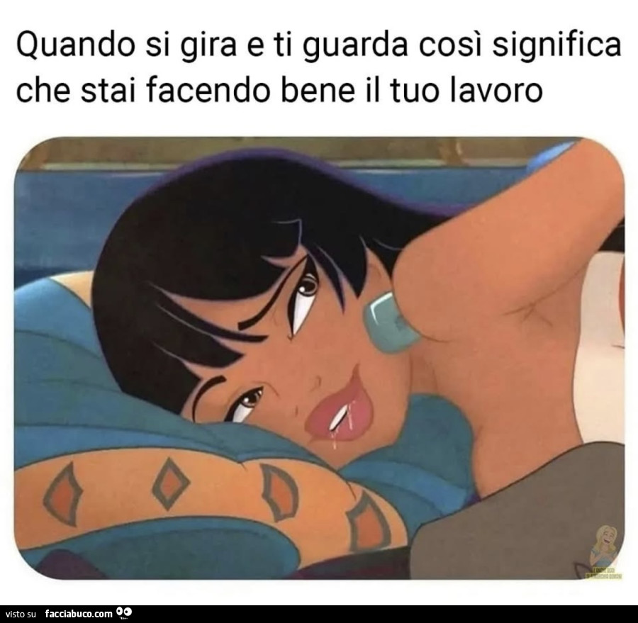 Vaccata