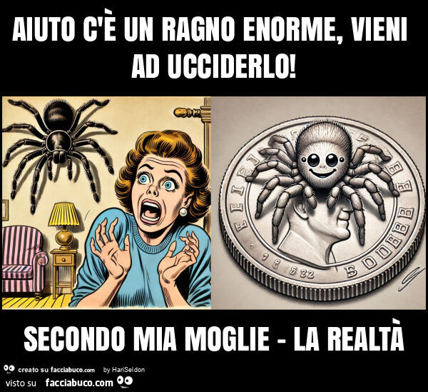 Aiuto c'è un ragno enorme, vieni ad ucciderlo! Secondo mia moglie - la realtà