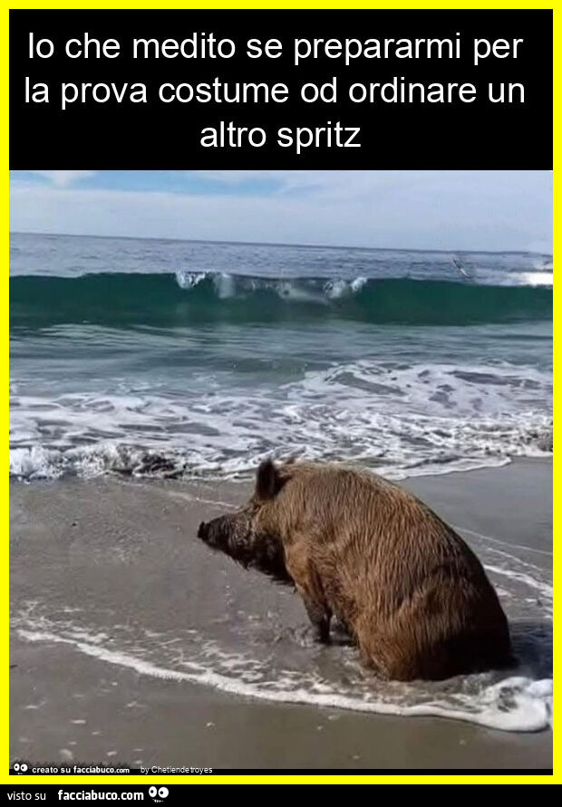 Io che medito se prepararmi per la prova costume od ordinare un altro spritz