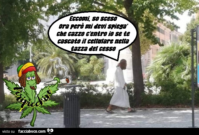 Vaccata