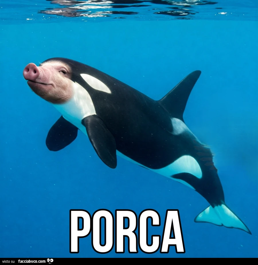 Porca