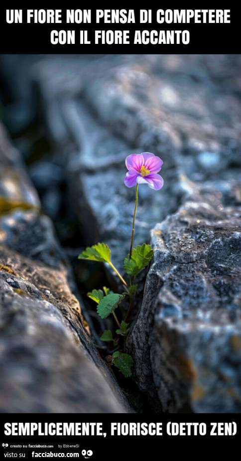 Un fiore non pensa di competere con il fiore accanto semplicemente, fiorisce (detto zen)