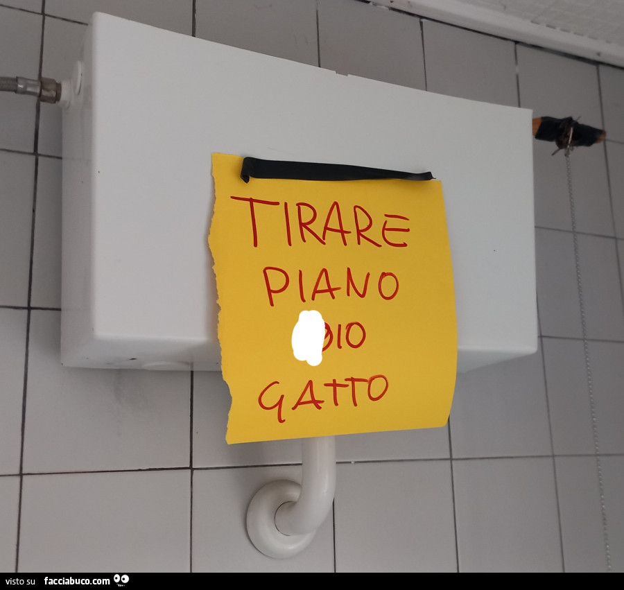 Cartello wc. Tirare piano zio gatto