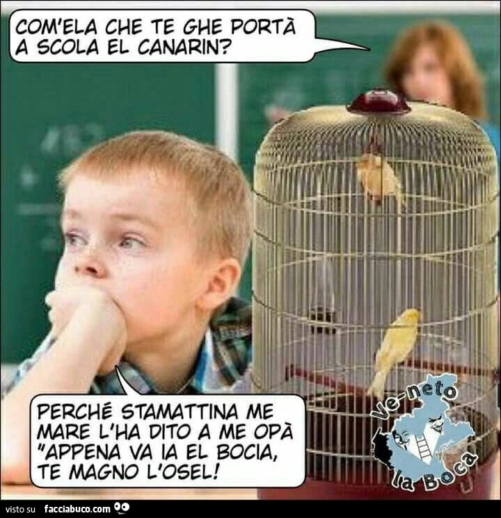 Vaccata