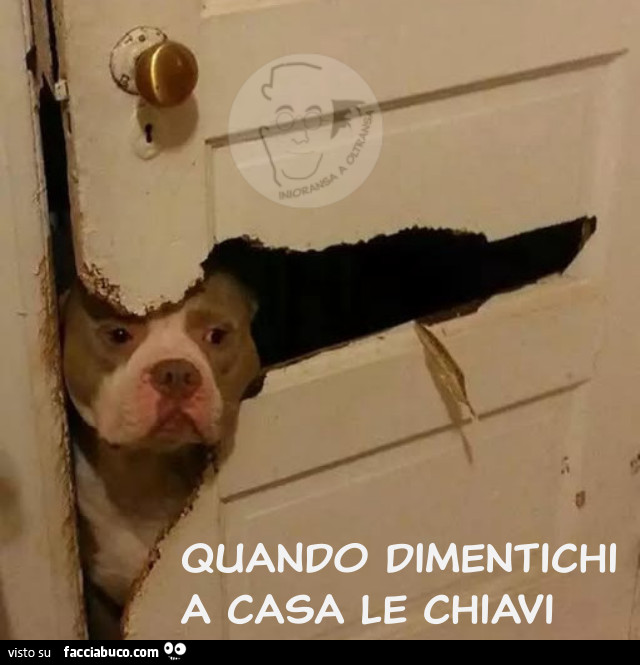 Quando dimentichi a casa le chiavi