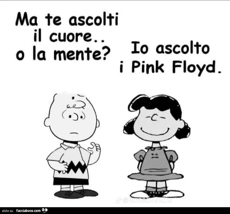 Ma te ascolti il cuore o la mente? Io ascolto i pink floyd