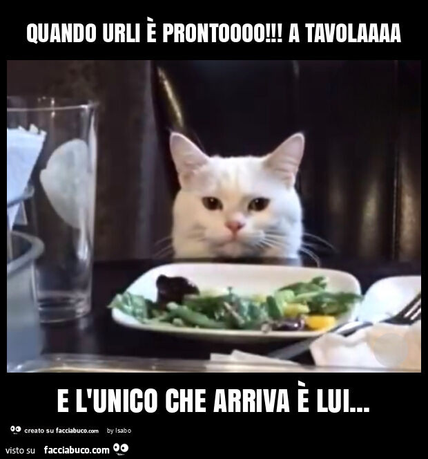 Quando urli è prontoooo! A tavolaaaa e l'unico che arriva è lui