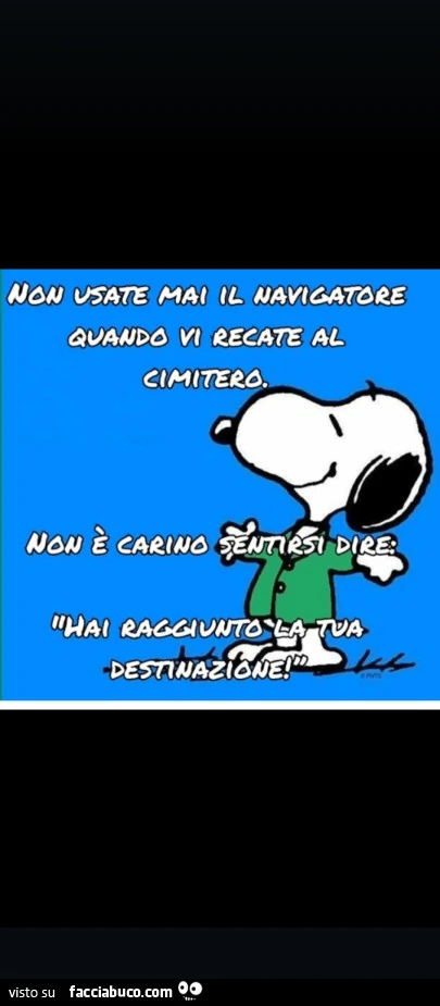 Snoopy consiglia di non usare il navigatore x andare al. Cimitero x non sentirsi dire che si รจ raggiunta la destinazione finale