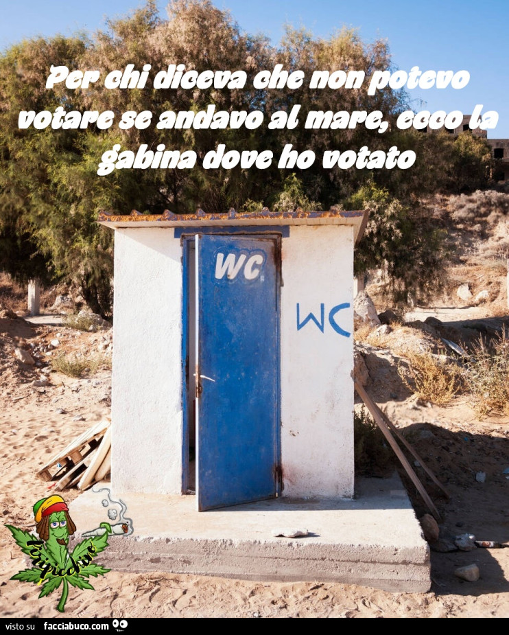 Vaccata