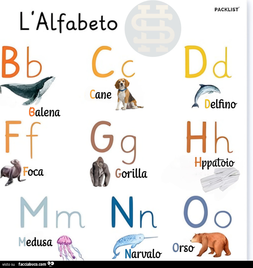 L'alfabeto