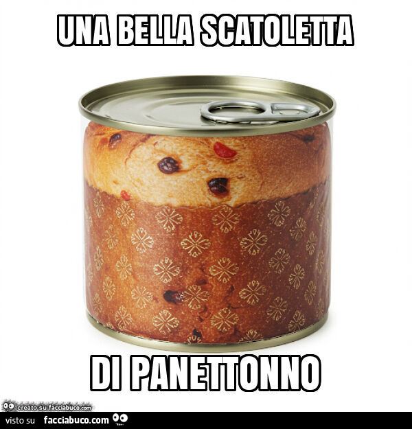 Una bella scatoletta di panettonno