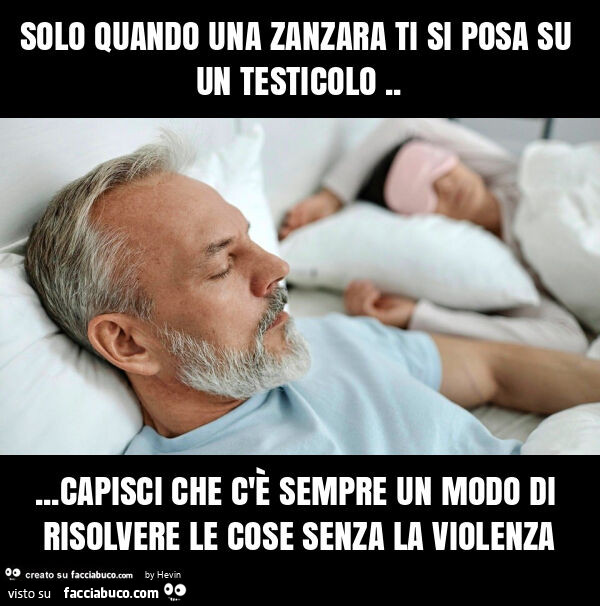 Solo quando una zanzara ti si posa su un testicolo… capisci che c'è sempre un modo di risolvere le cose senza la violenza