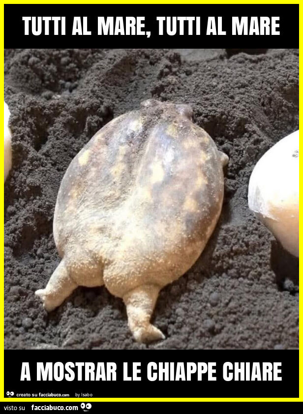 Tutti al mare, tutti al mare a mostrar le chiappe chiare
