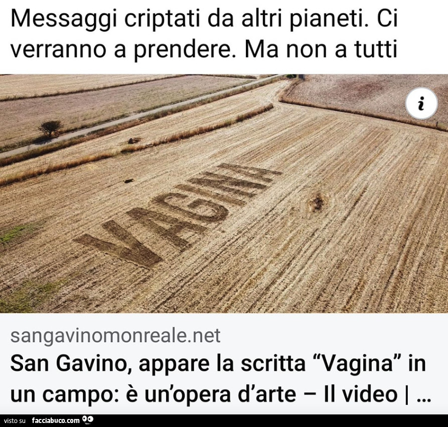 Vaccata