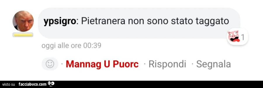 Ypsigro: pietranera non sono stato taggato. Mannag u puorc