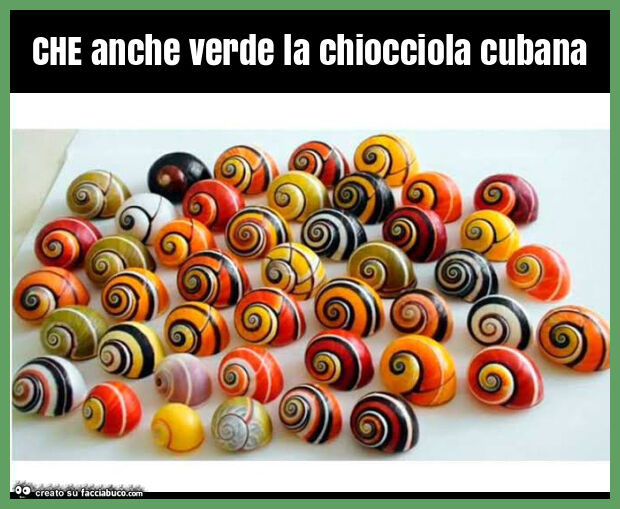 Che anche verde la chiocciola cubana