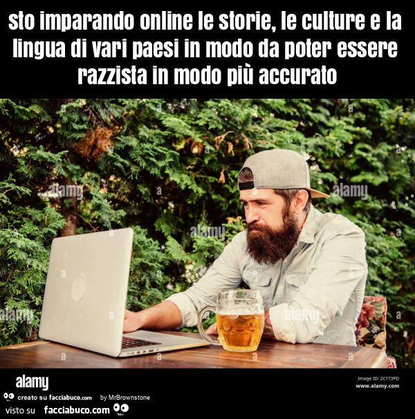 Sto imparando online le storie, le culture e la lingua di vari paesi in modo da poter essere razzista in modo più accurato