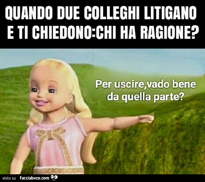 Vaccata
