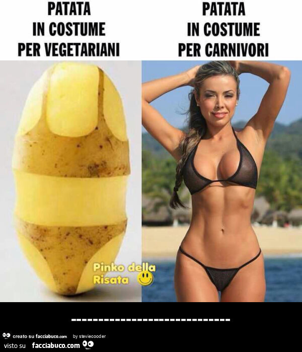Vaccata
