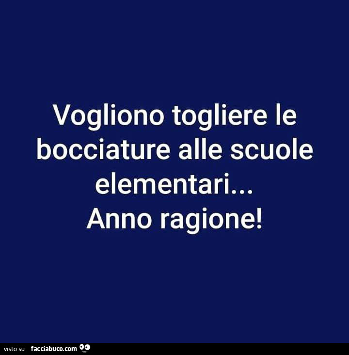 Vogliono togliere le bocciature alle scuole elementari… anno ragione