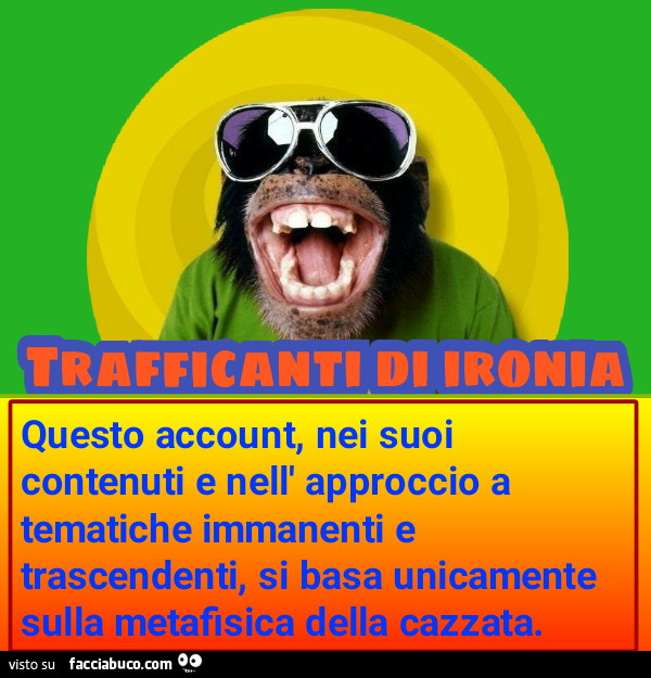 Questo account, nei suoi contenuti e nell' approccio a tematiche immanenti e trascendenti, si basa unicamente sulla metafisica della cazzata